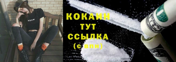 первитин Михайлов