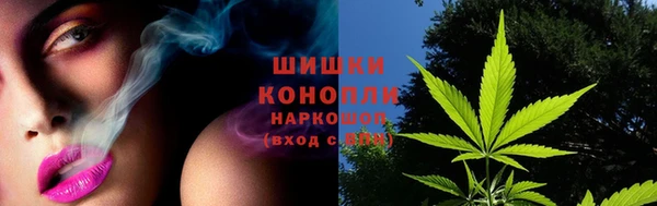 крисы Михайловск