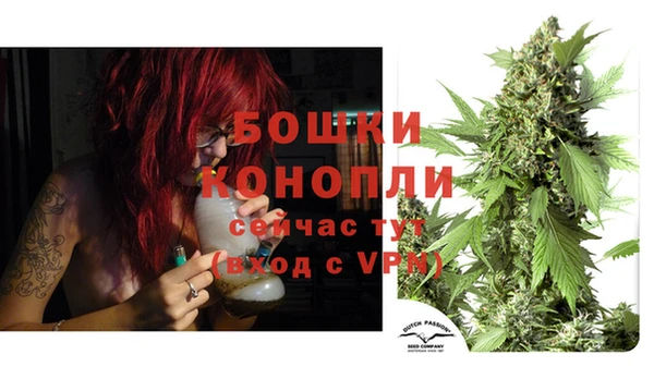крисы Михайловск