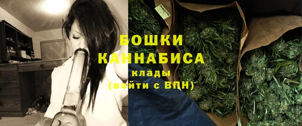 крисы Михайловск