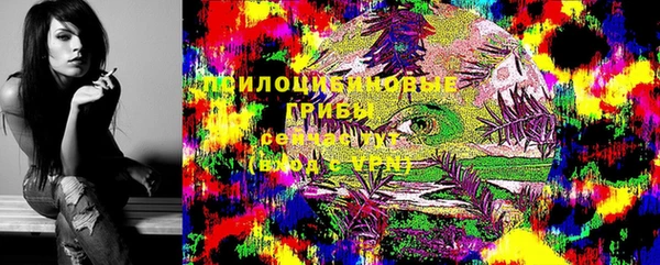 гидропоника Михайловка