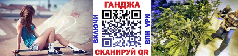 где купить   omg tor  Конопля тримм  Терек 